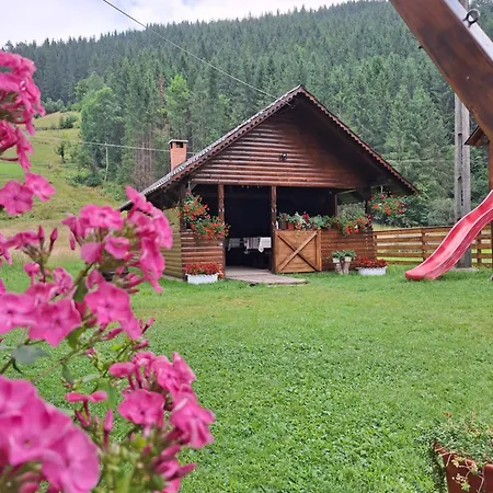 Cabana Inima Munților-3